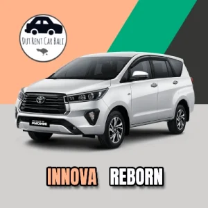 Innova Reborn Matic
